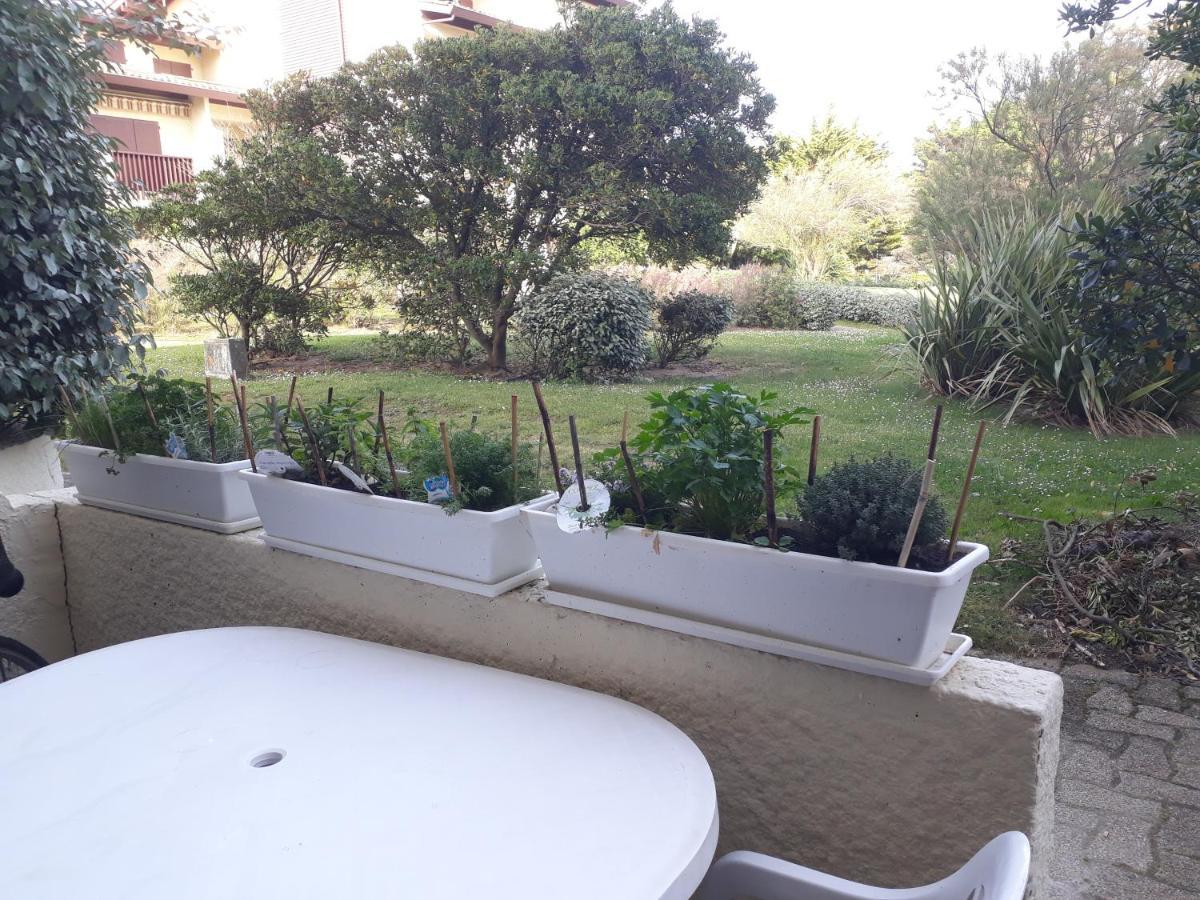 Appartement Seignosse Ocean Εξωτερικό φωτογραφία